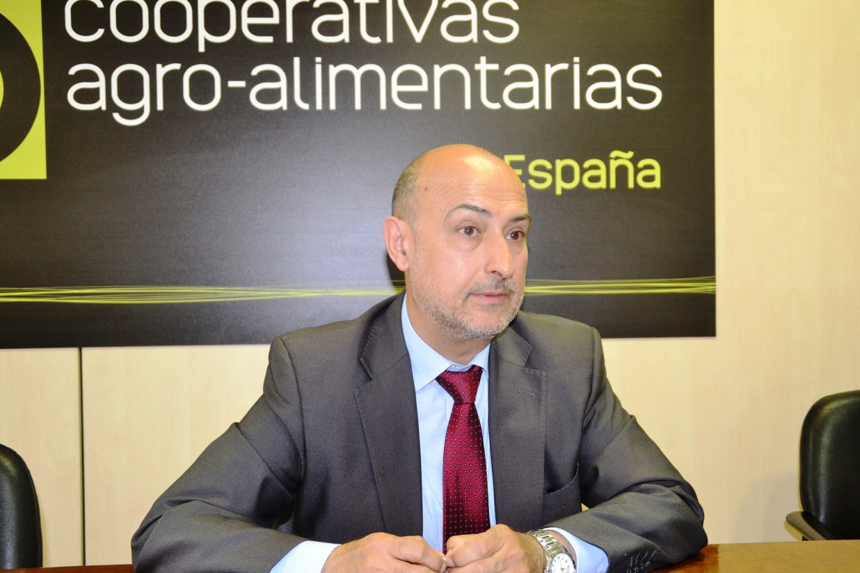 Agustín Herrero: “Es mucho más difícil gestionar una cooperativa que una empresa mercantil”