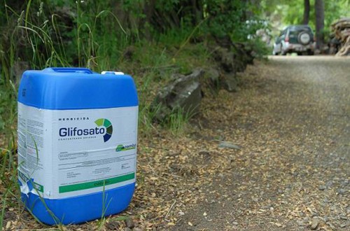 La UE decide mañana sobre la prolongación de la autorización del glifosato