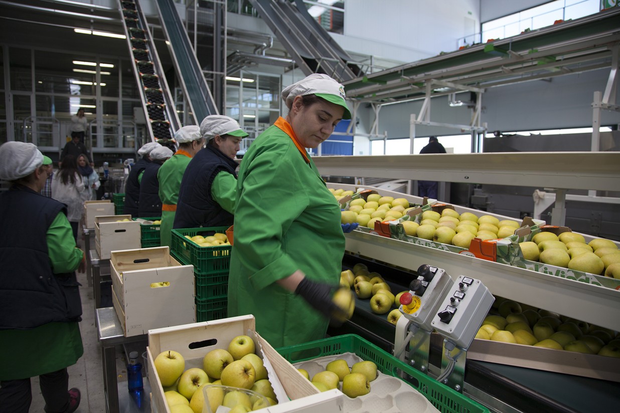 Diez millones de manzanas llevarán uno de los 200 nombres nacionales más populares