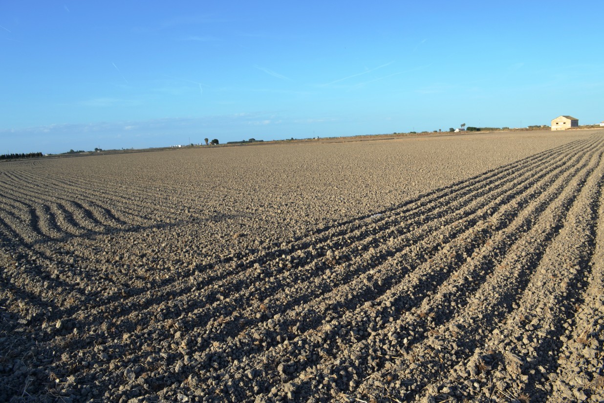 La Unió afirma que la climatología provoca un incremento de costes a los arroceros valencianos