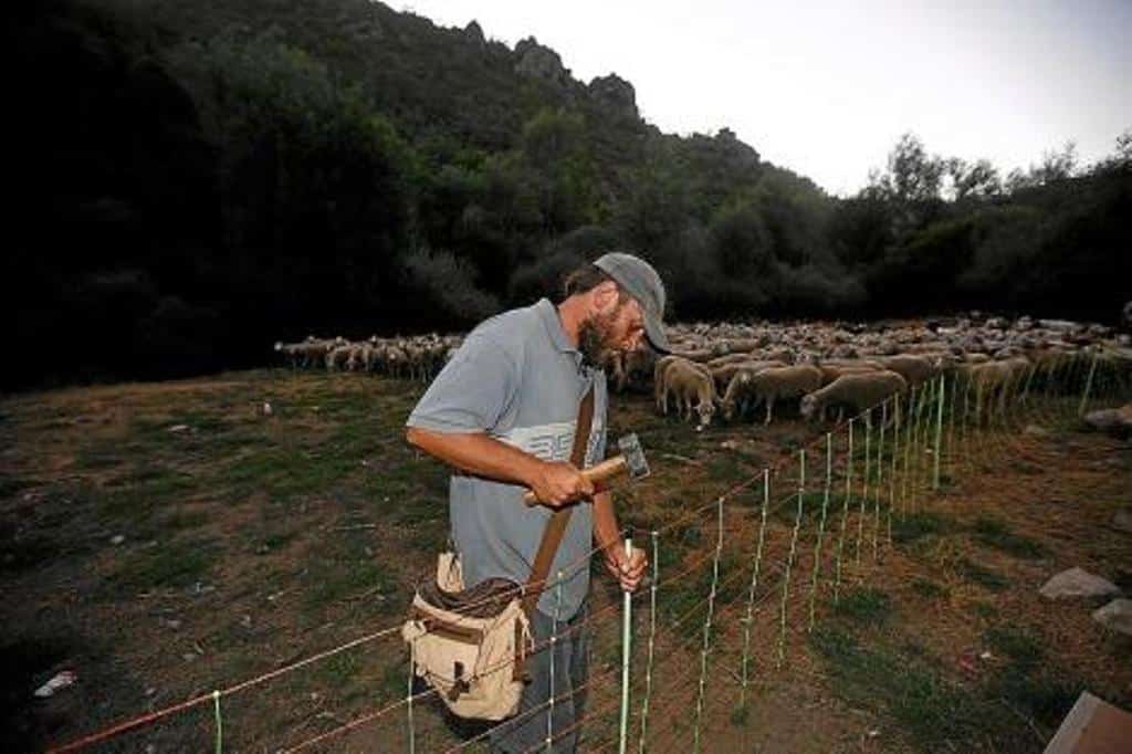 La Junta promueve financiación ventajosa para el sector primario y las pymes de Castilla y León