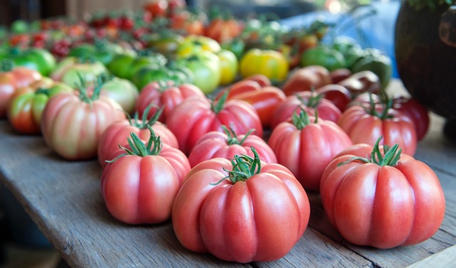 El tomate Monterosa, de Semillas Fitó, gana el “Premio a la Innovación hortofrutícola”