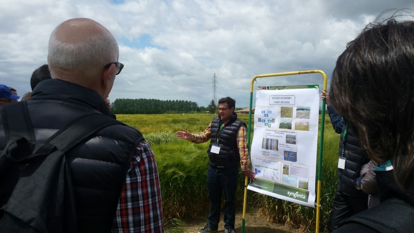 Técnicos cerealistas españoles visitan el centro de desarrollo de Syngenta de la cebada híbrida Hyvido