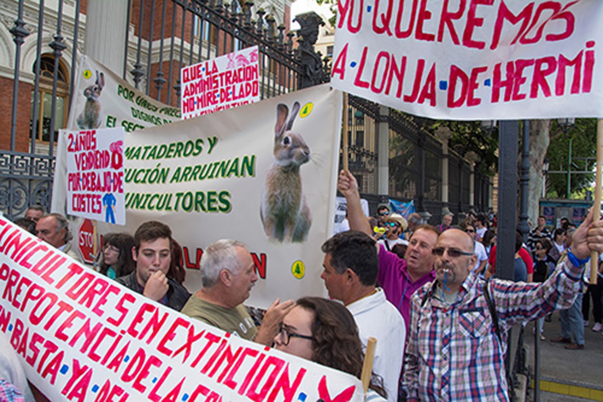 Trescientos cunicultores exigen en Madrid el fin de la corrupción en el sector