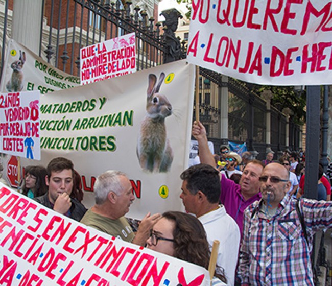 Trescientos cunicultores exigen en Madrid el fin de la corrupción en el sector