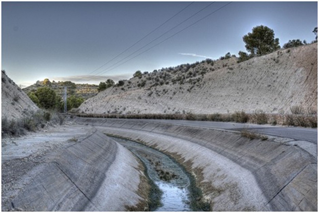 Proexport reclama agua urgente para salvar los cultivos del Levante