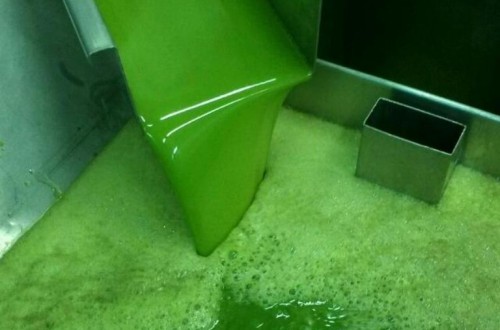 Las salidas de aceite de oliva al mercado se elevaron a 110.600 t en mayo pasado
