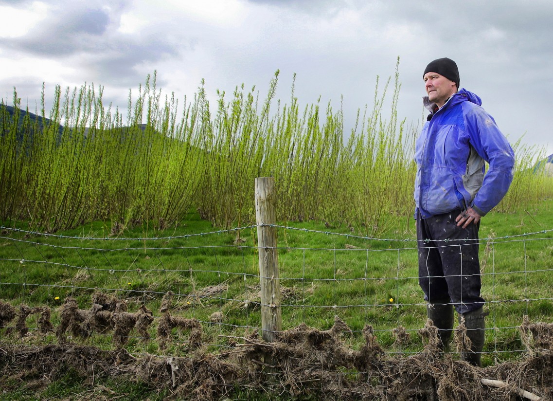 Los agricultores no pagarán IVA en las transmisiones de los derechos de pago único de la PAC