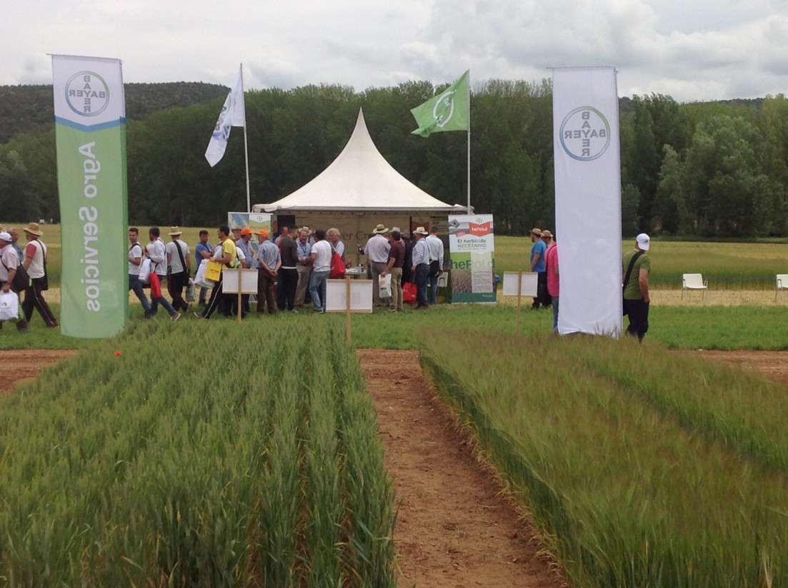 Bayer apoya la transferencia tecnológica en cereales en la IV edición de la jornada del Genvce