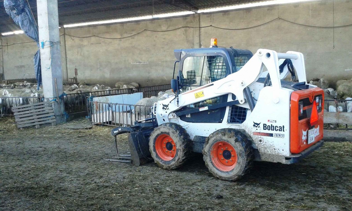 Rentabilizar una explotación ovina con la cargadora compacta Bobcat S530