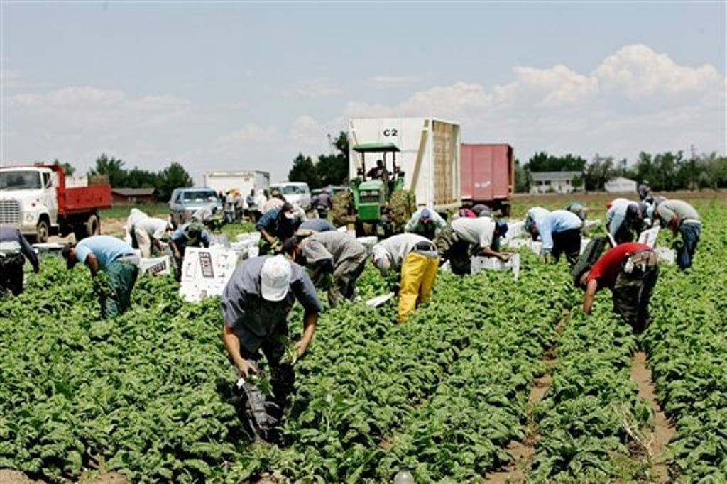 El paro en Agricultura bajó un 6% y en 12.060 personas en el pasado mes de mayo