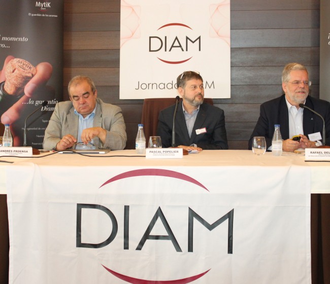 Rioja debate el futuro de sus clasificaciones en la VII Jornada DIAM