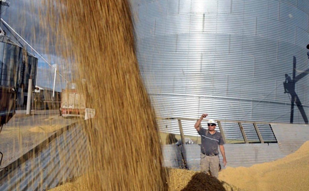 El USDA prevé récords mundiales de producción, consumo y existencias de trigo