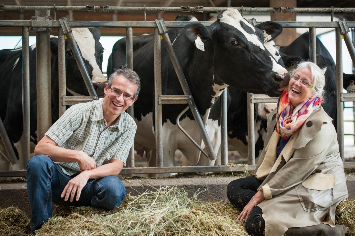 Boehringer Ingelheim entrega el primer Premio al Bienestar Animal en Rumiantes