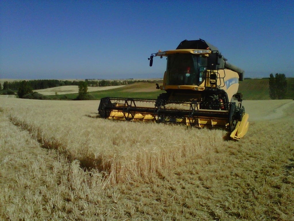 La cosecha de cereales de invierno de Castilla y León, una de las mejores de la  década, con más de 7,6 Mt