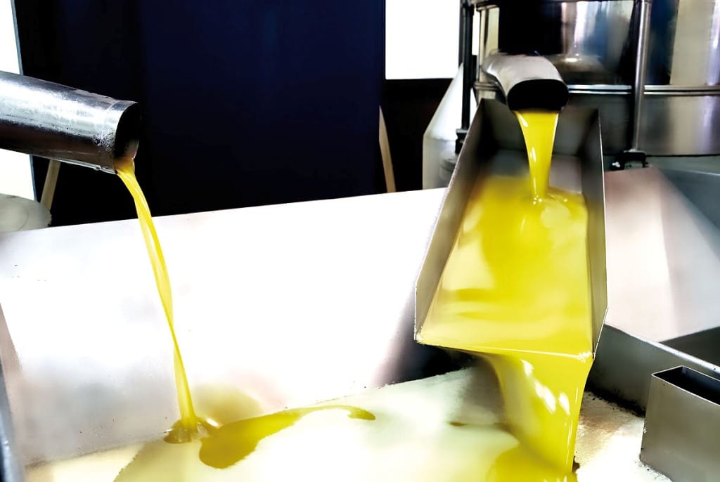 Las salidas de aceite de oliva al mercado en 2015/16 superan ya el millón de toneladas