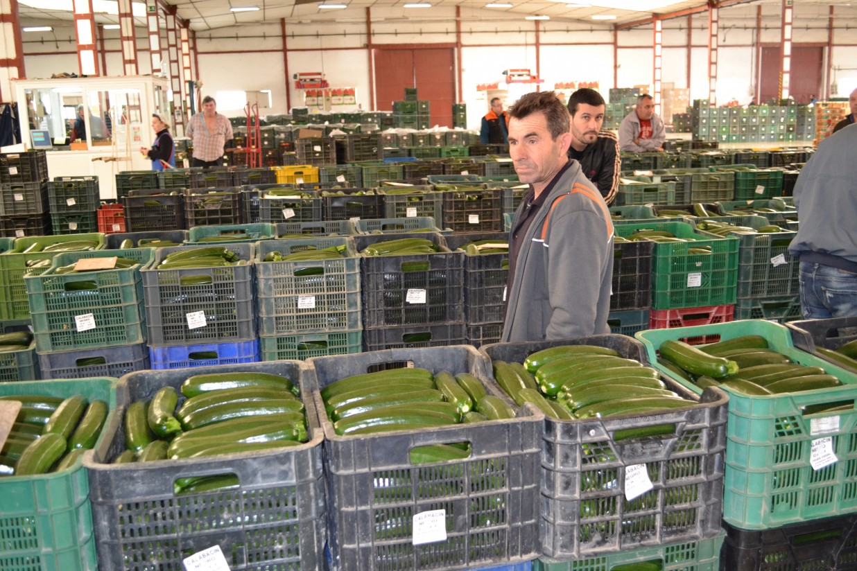 Asaja realizará una encuesta en Almería y Murcia sobre el futuro del modelo agrícola