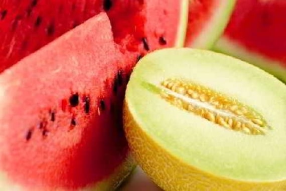 Nunhems apuesta por el sabor y por nuevos formatos para impulsar el mercado europeo de melón y sandía