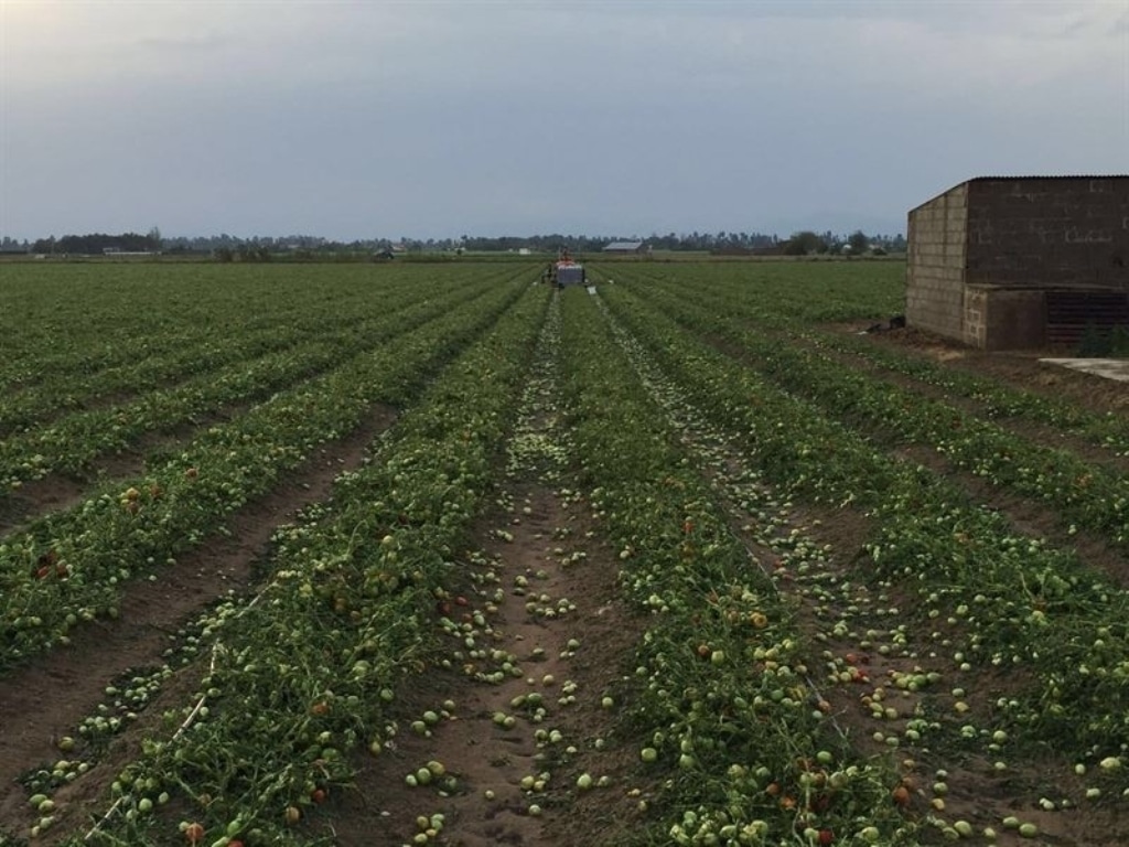 El Gobierno añade 15 M€ al Plan 2016 de Seguros Agrarios  por la mayor contratación de primas