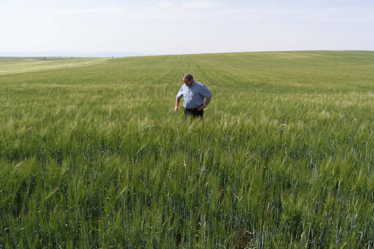 Aclaración de Unión de Uniones en relación a los cambios en la figura del agricultor activo