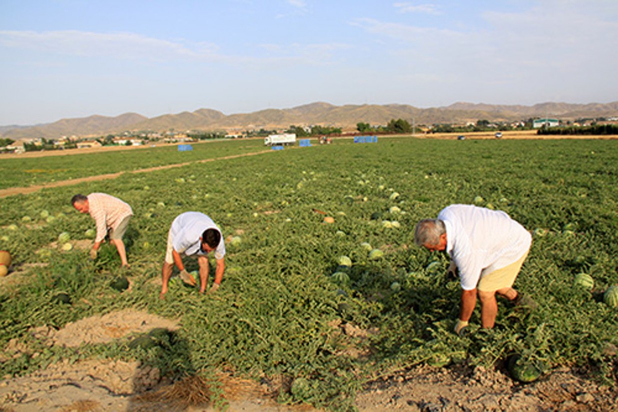 Los cambios en la figura del agricultor activo se deben a una denuncia de Unión de Uniones, según Agricultura