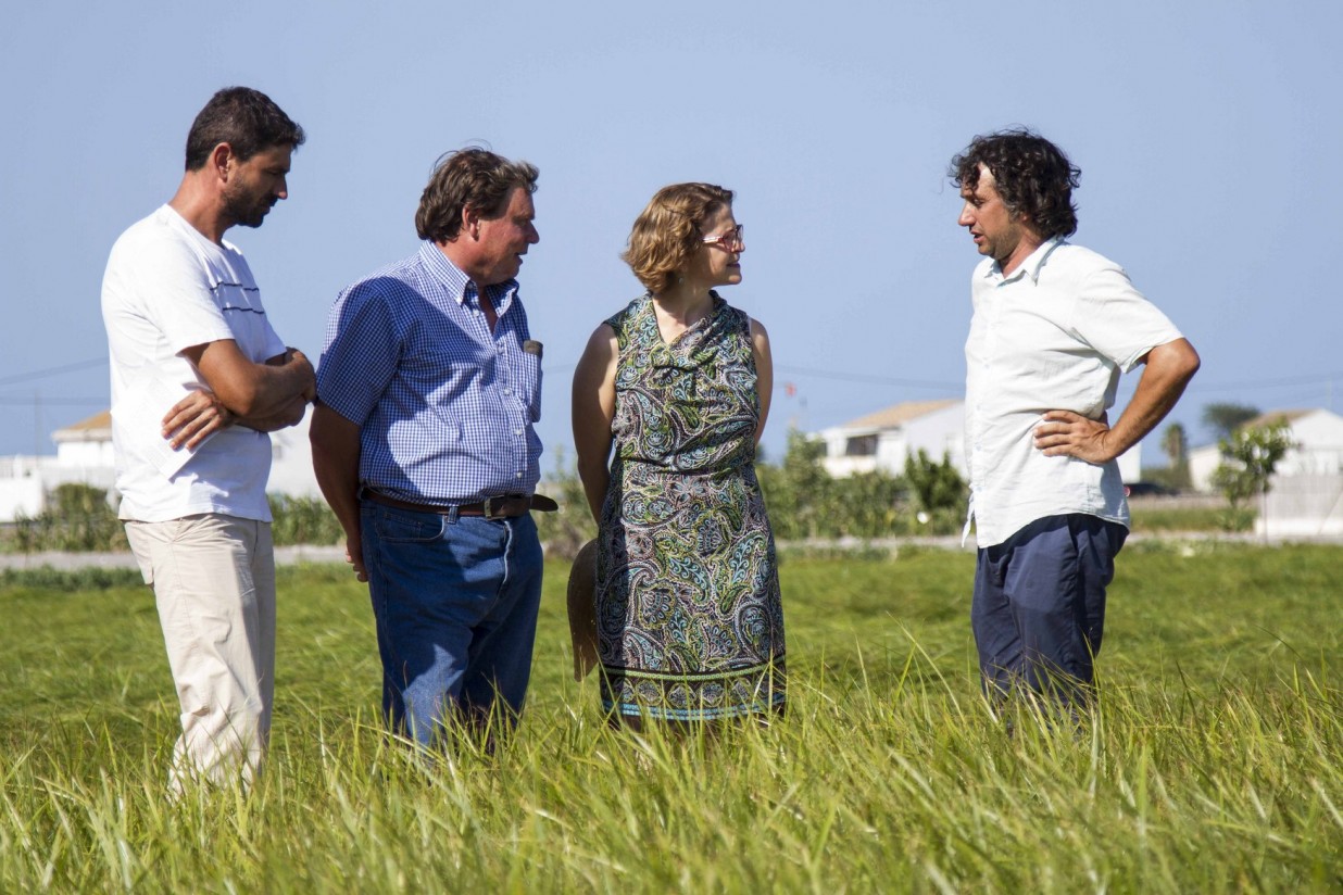 Representantes del CRDO Chufa de Valencia se reúnen con la consejera de Agricultura valenciana