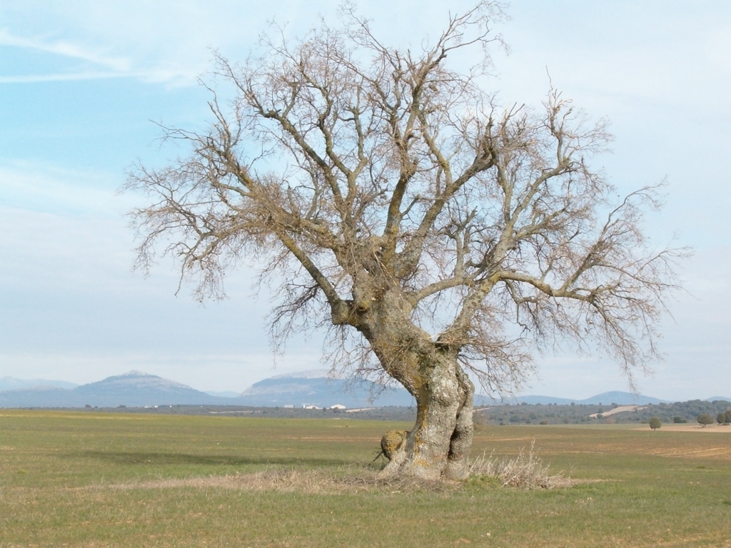 Meteorología prevé un otoño con temperaturas superiores a los valores de referencia