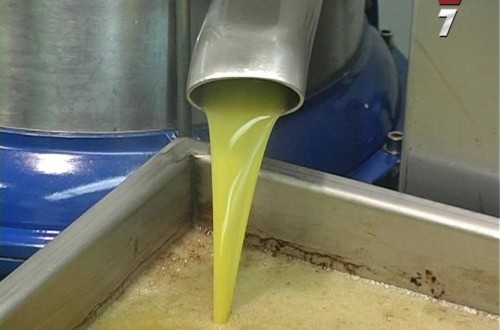 Unos 56 países elaboran ya su propio aceite de oliva en los cinco continentes