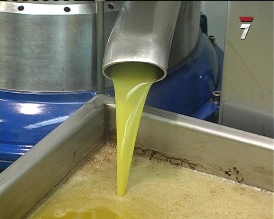 Unos 56 países elaboran ya su propio aceite de oliva en los cinco continentes