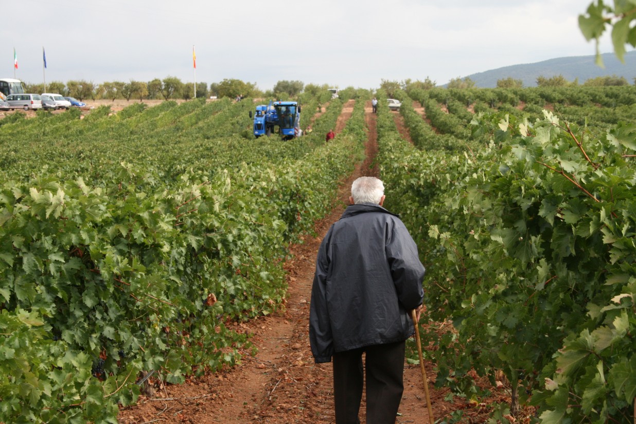 2016 marca un nuevo máximo histórico de envejecimiento de la población española