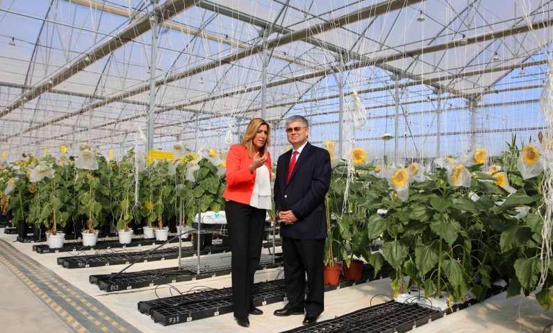 DuPont Pioneer inaugura en Sevilla un Centro Tecnológico de Investigación dirigido al cultivo del girasol
