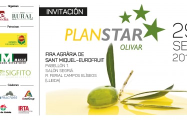 Abierto el plazo de inscripción para una nueva edición del Plan STAR Olivar en Lleida