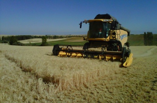 Advierten sobre la difícil situación y los graves problemas de liquidez del sector de cereales y oleaginosas