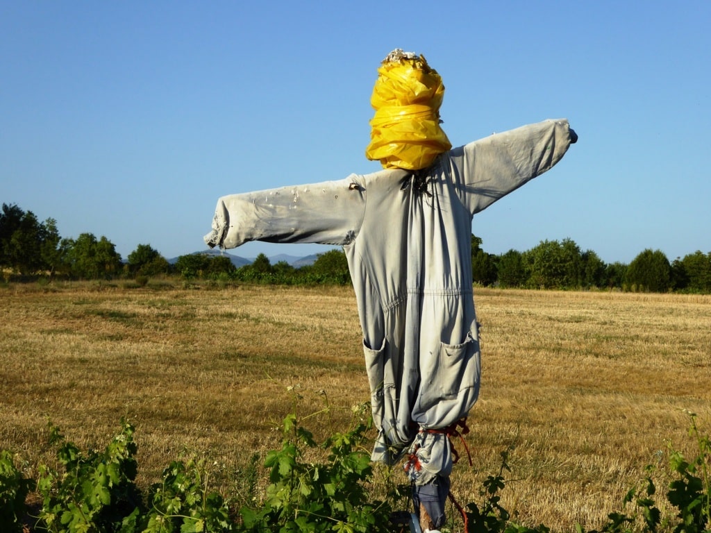 Bruselas propone dar más libertad a los Estados para aplicar la figura del “agricultor activo”