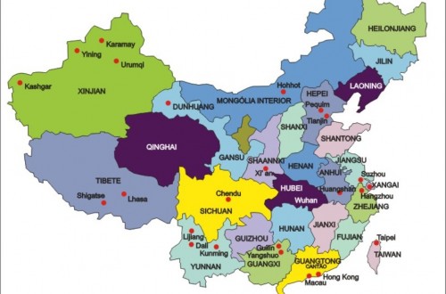 China planta una media de alrededor de 14.000 ha de olivos al año según el COI