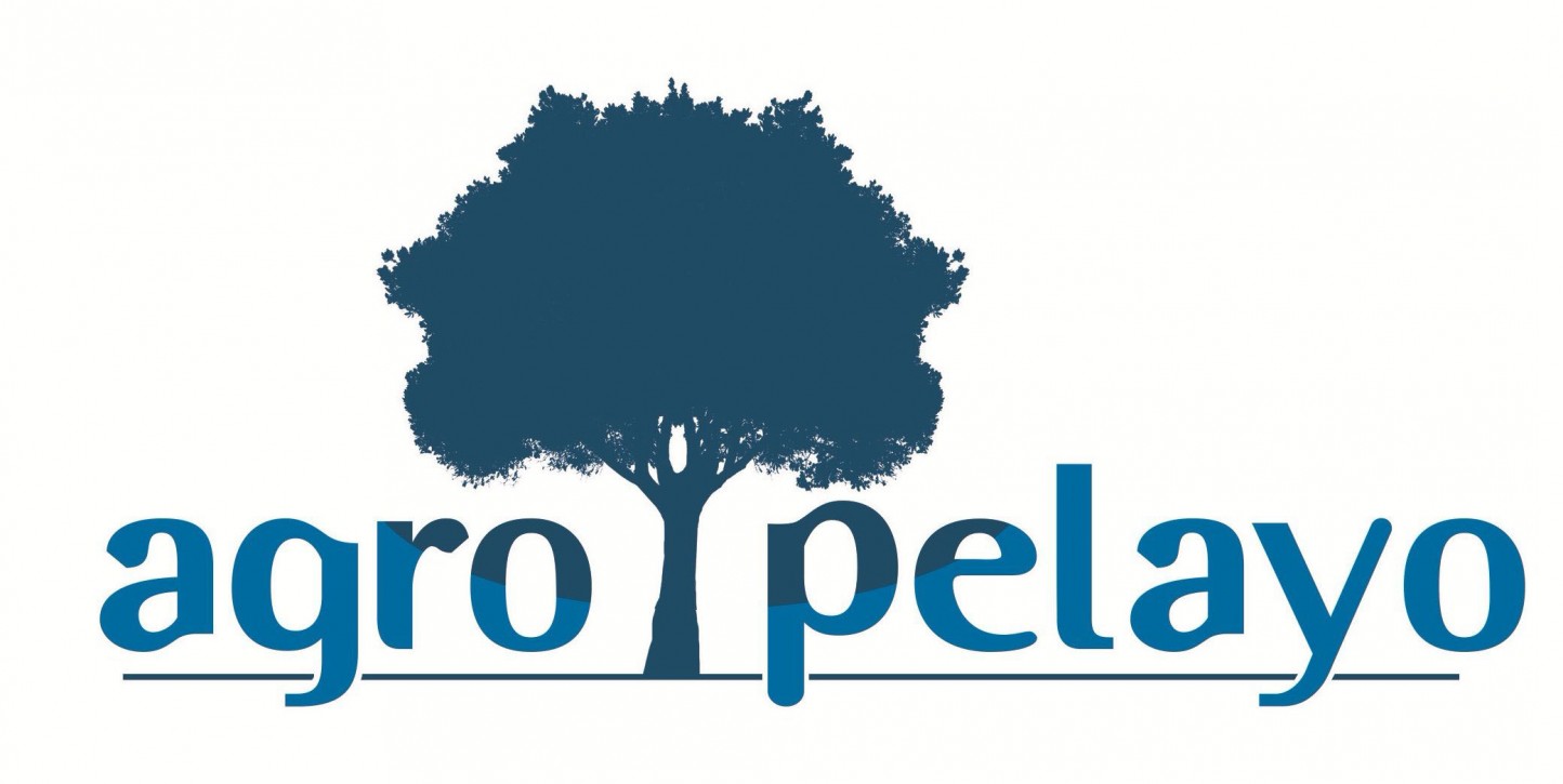 Grupo Pelayo incrementa un 91% sus beneficios, principalmente por la actividad agraria