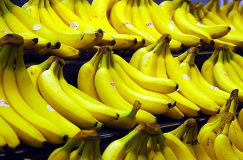 Los productores de plátano reclaman una mayor protección al Parlamento Europeo