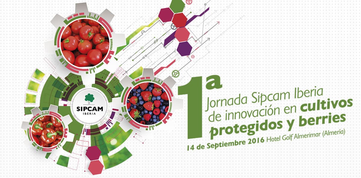 Sipcam Iberia organiza su primera Jornada de Innovación en Cultivos Hortícolas y Berries
