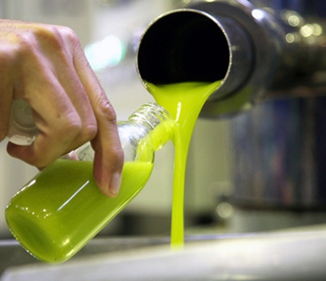 La diferencia entre el precio de origen de aceite de oliva refinado y el  AOVE  es de apenas 0,10 €/kilo
