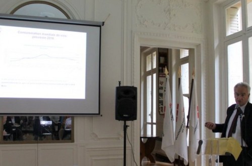 La Organización Internacional de la Viña y el Vino prevé un 5% y 14,4 Mhl menos de producción mundial en 2016/17