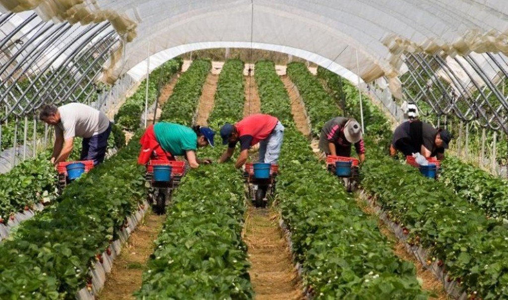 La Agricultura fue la actividad donde más bajó el paro en septiembre