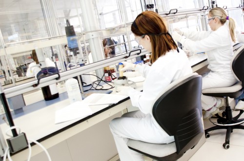 Las empresas que exporten aceitunas de mesa a EE.UU. deberán contar con un plan de seguridad alimentaria