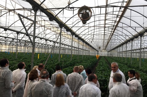 Hortiespaña traslada la importancia de buscar un marco legislativo para la futura organización interprofesional europea