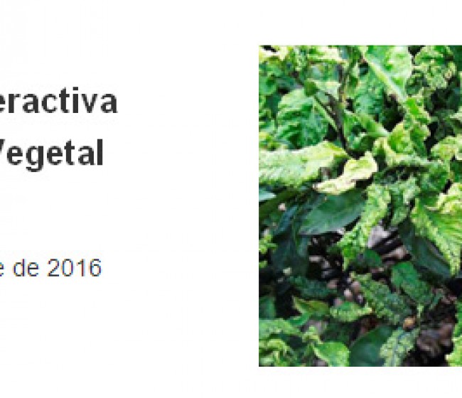 El IRTA organiza su III Jornada Interactiva de Protección Vegetal