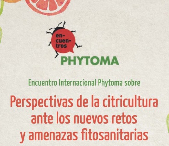 Phytoma reúne a los principales expertos internacionales en citricultura para abordar las amenazas del sector