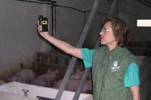 Emisión de amoniaco en las explotaciones porcinas