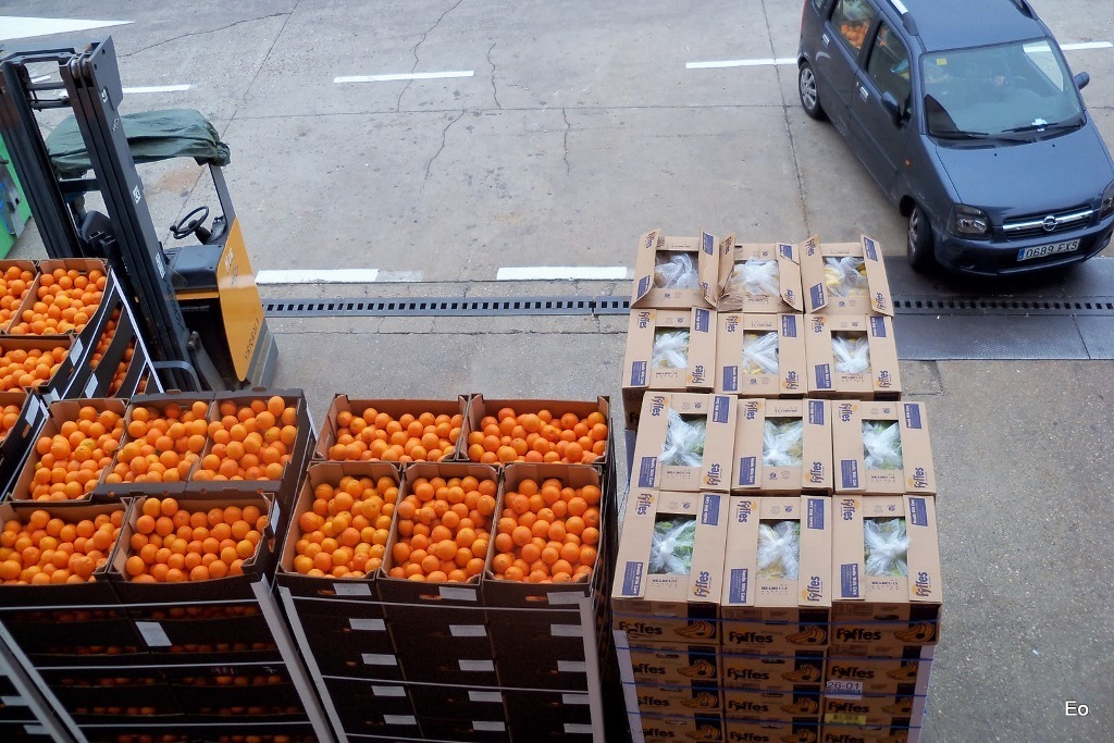 Solo tres CC.AA. concentran el 72,4% de las ayudas a las OP de frutas y hortalizas