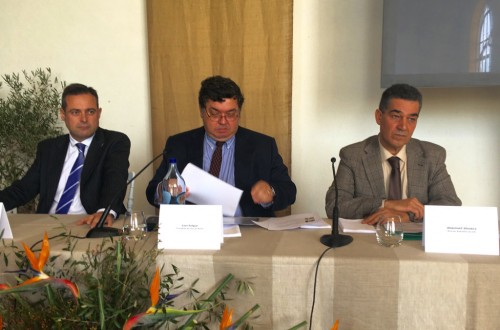 El olivar mundial está preparado para producir más de 4,5 Mt de aceite de oliva