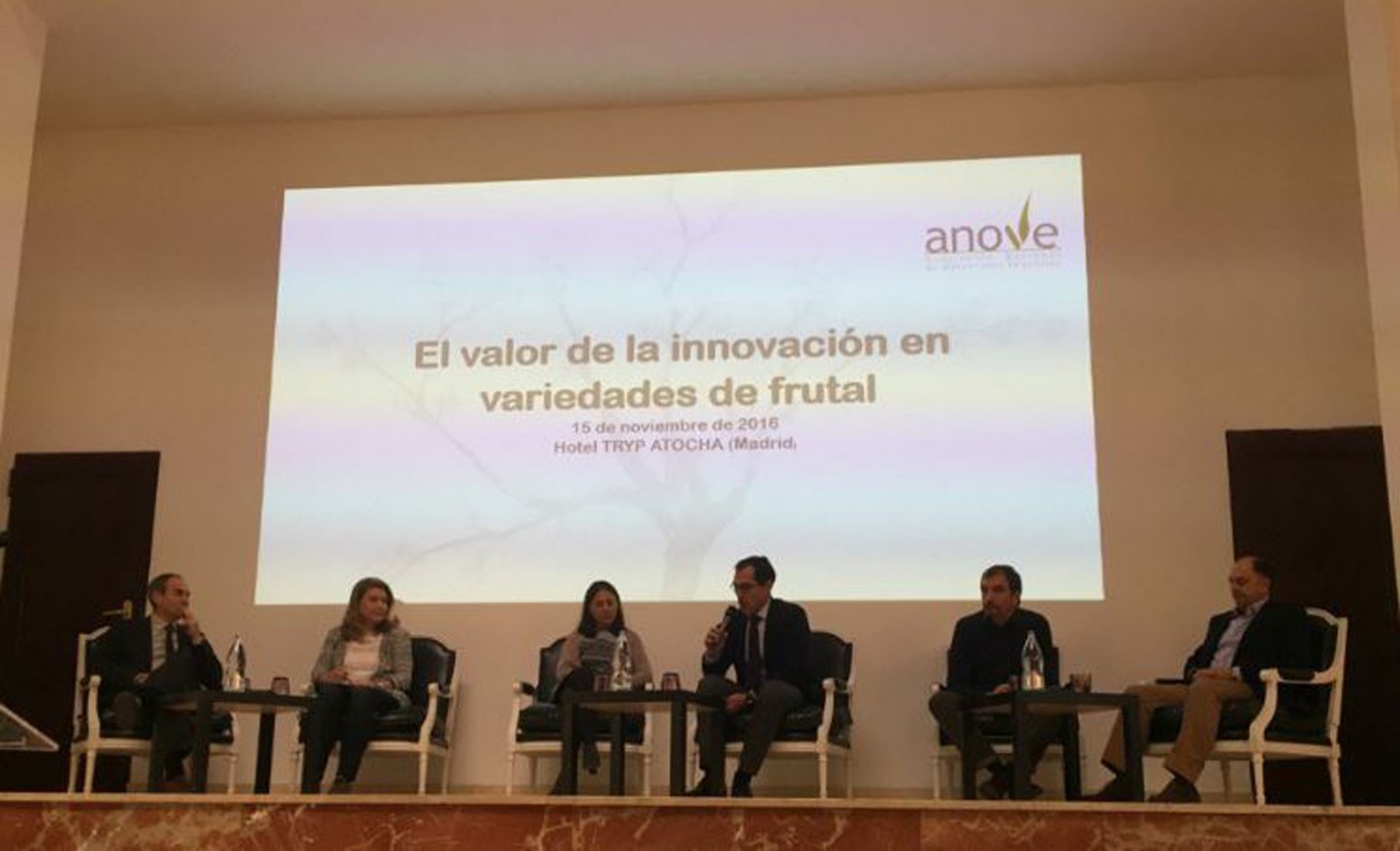 Sin innovación no se sostendría la producción frutícola española