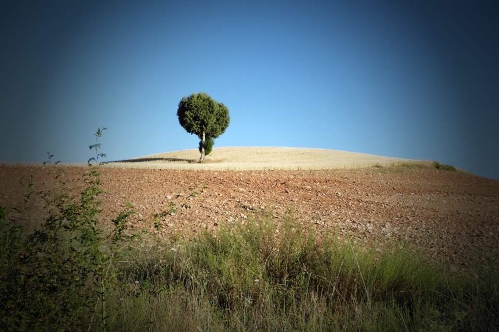 La CE y el BEI preparan un nuevo instrumento financiero común para inversiones en Desarrollo Rural de la UE